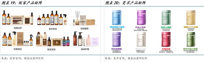 公司深度研究：新枝已绽华斐启新纪元瓦力游戏app国金纺服杨欣｜若羽臣(图21)